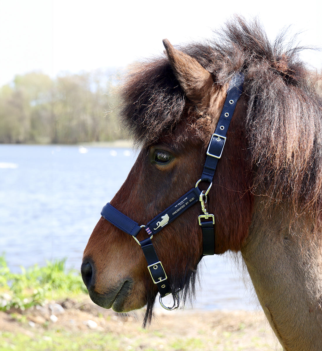 Islændergrime navy på hest