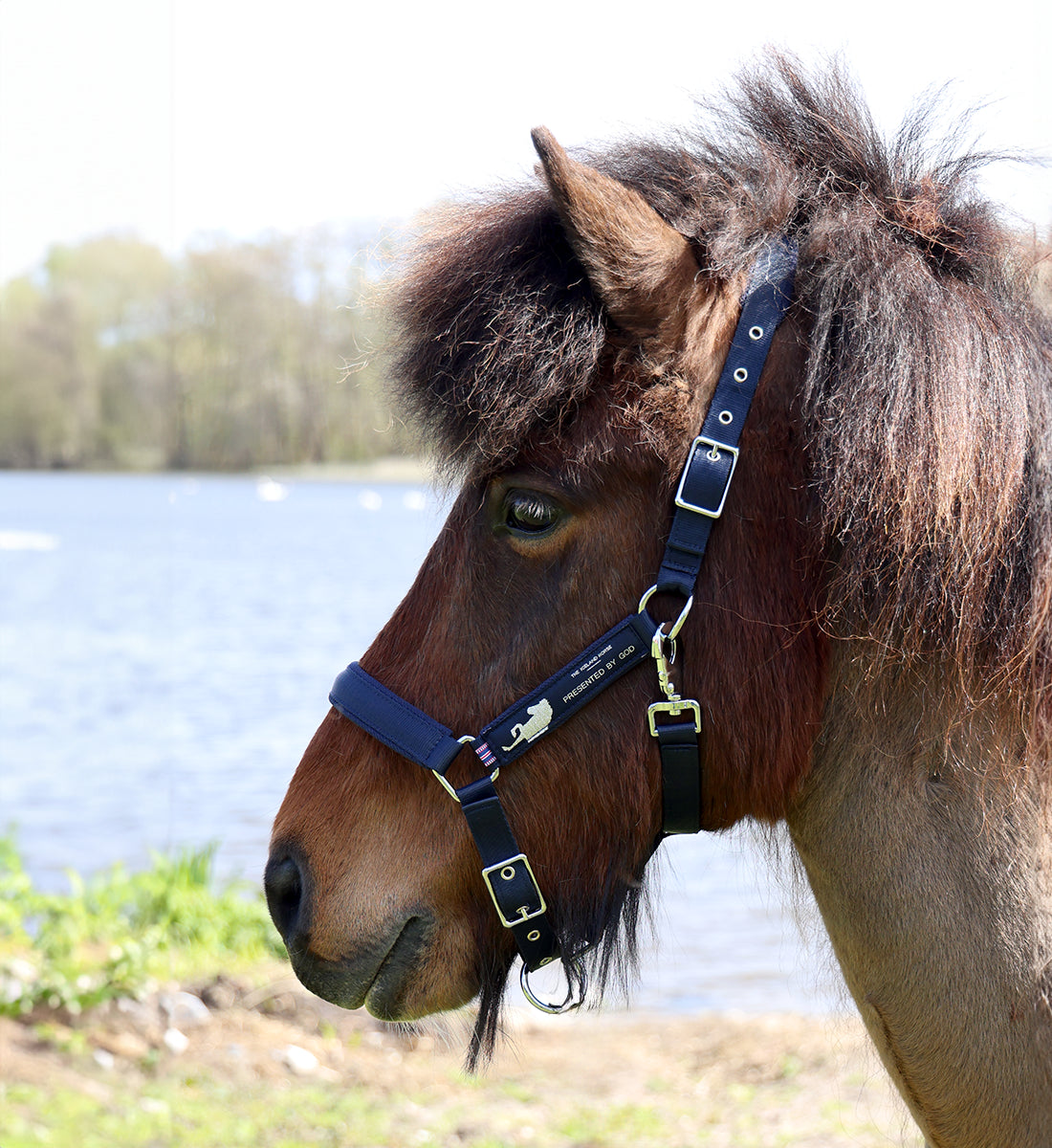 Islændergrime navy på hest