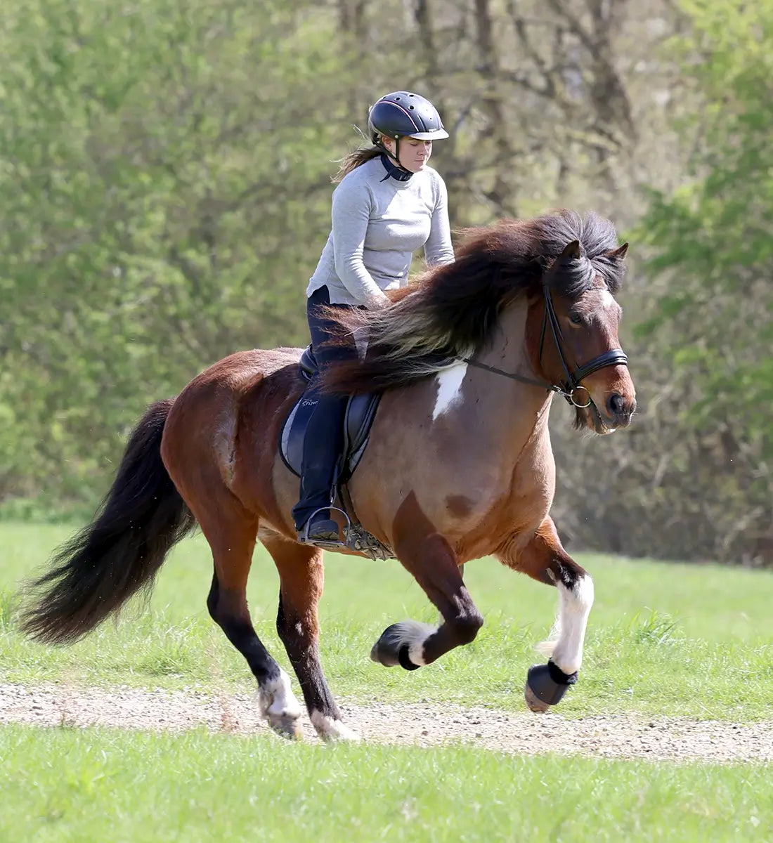 Islænder sadelunderlag grå 17" på islænder i galop
