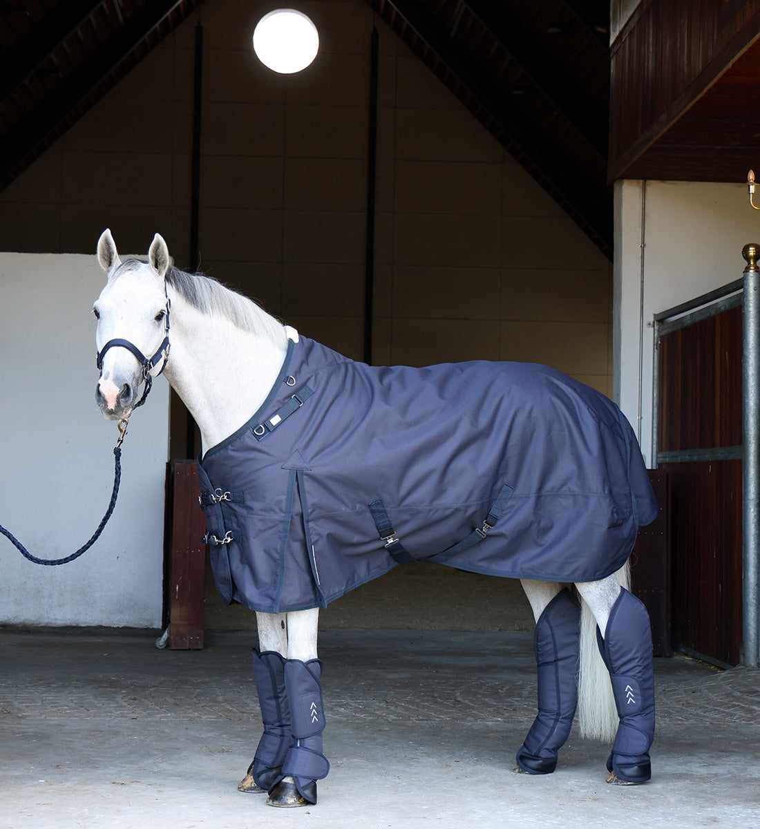 Transportgamacher til hest i flot mørk navy