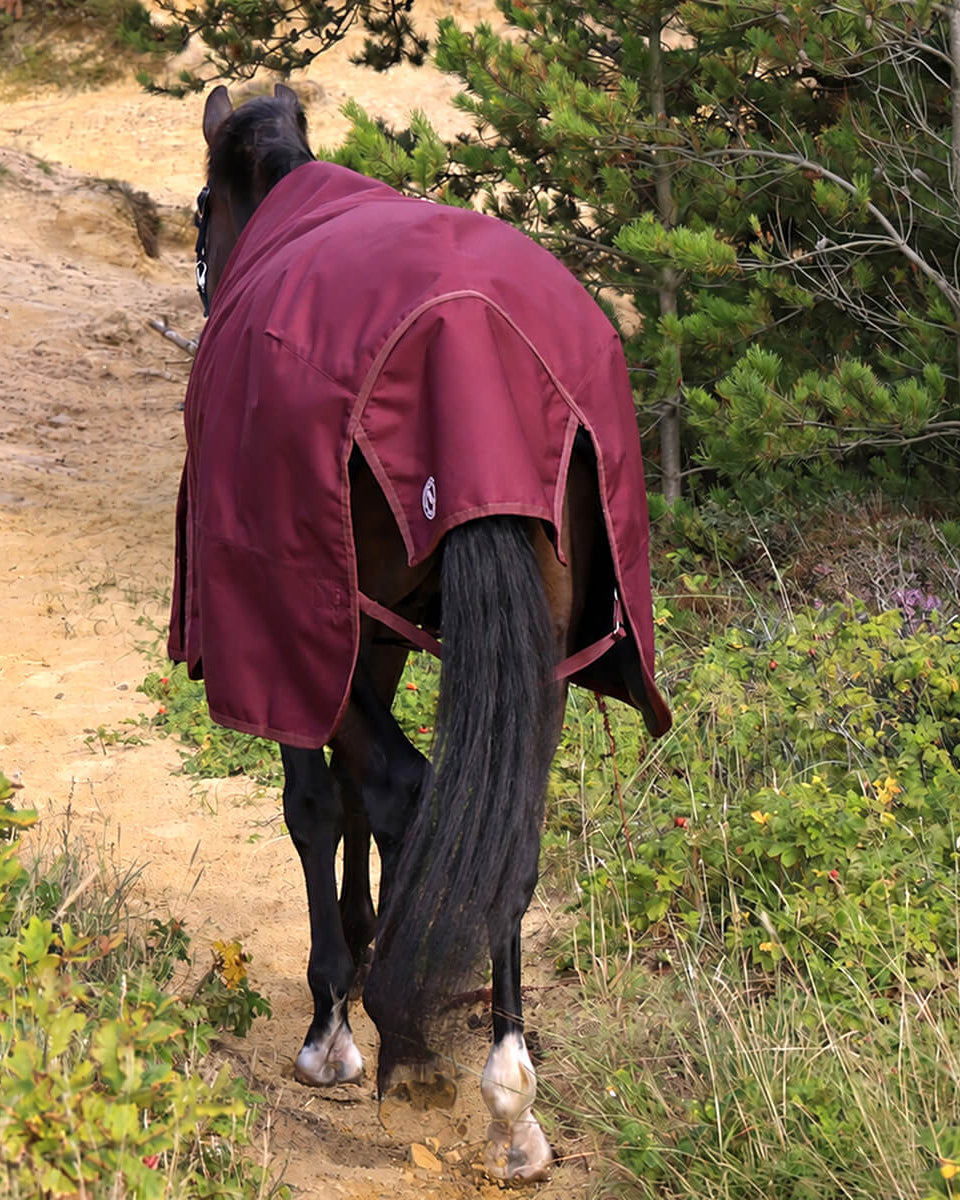 Hest med RBH SPORT regndækken i Dark Bordeaux med 50 g fyld, set bagfra