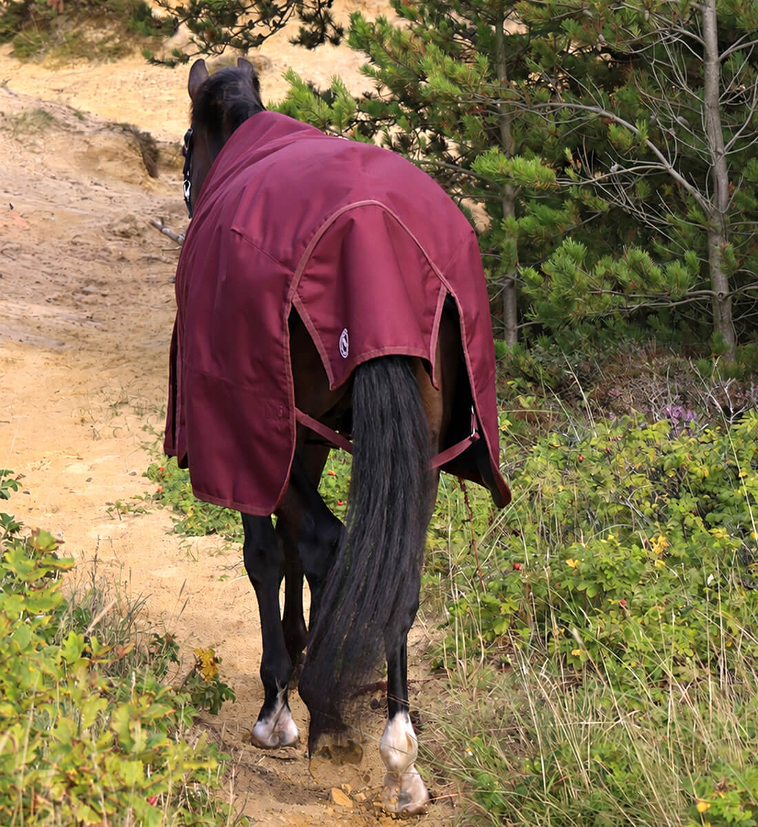 Hest med RBH SPORT regndækken i Dark Bordeaux med 50 g fyld, set bagfra
