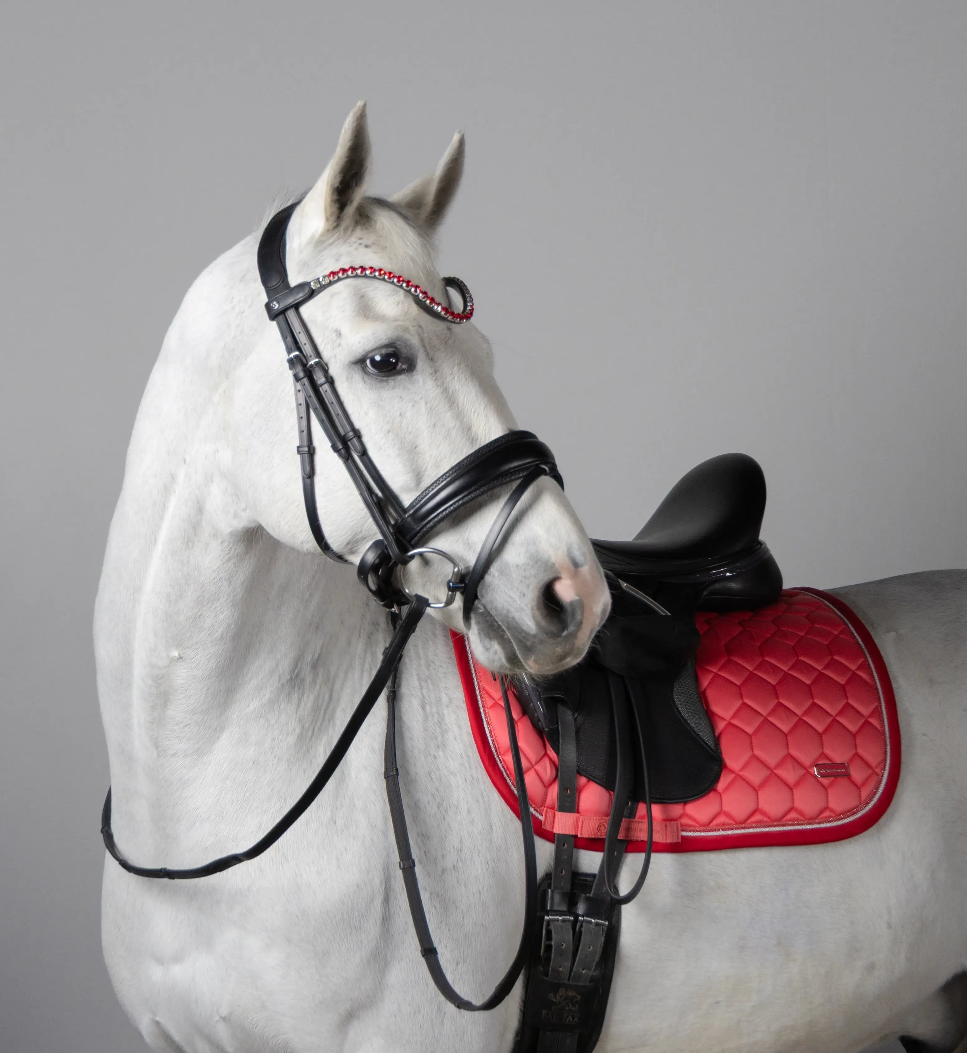 Pandebånd i krystal Love Potion