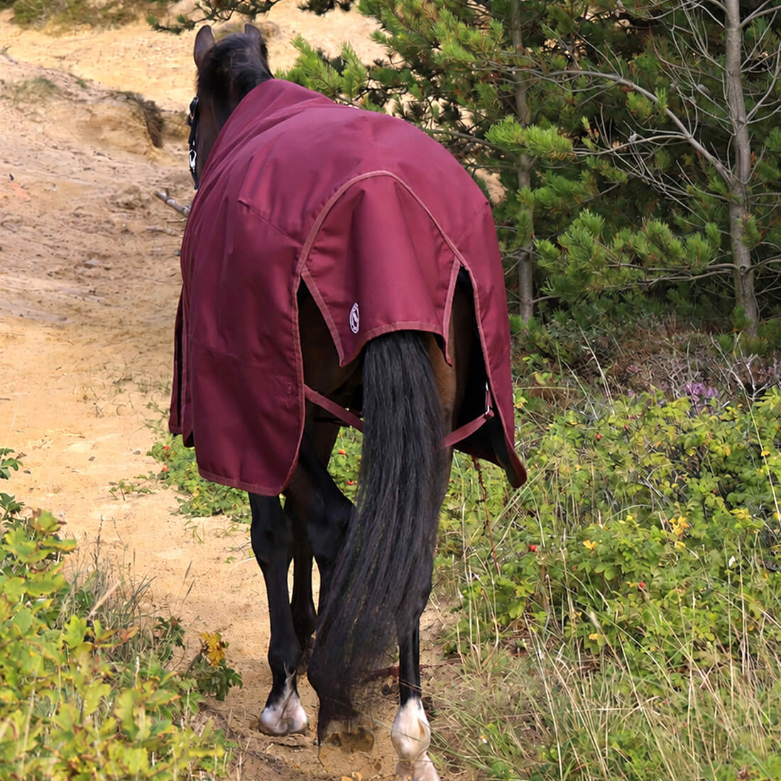 Dark Bordeaux vinterdækken set bagfra