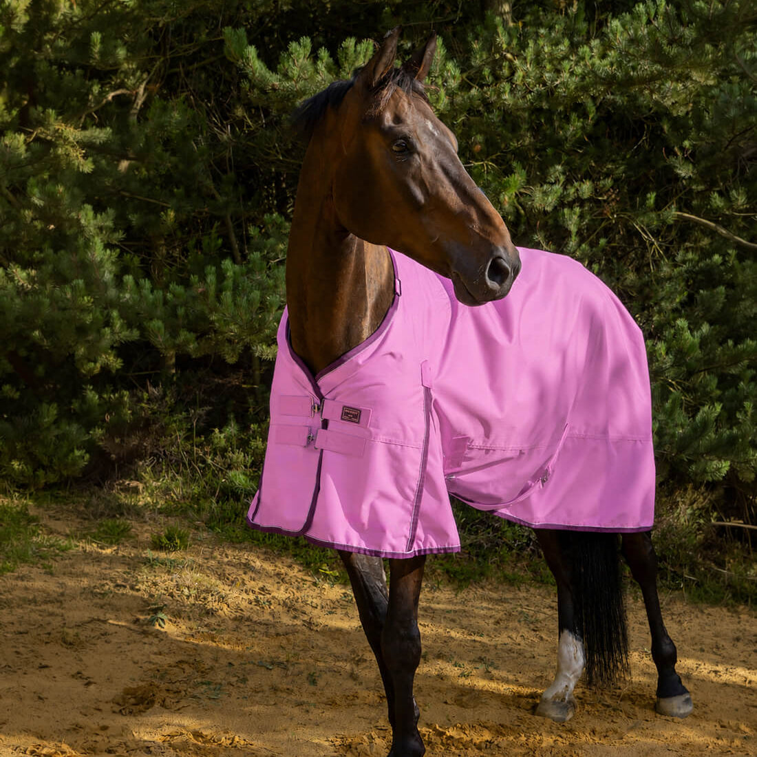 Lækkert 200g RBH SPORT overgangsdækken i pink