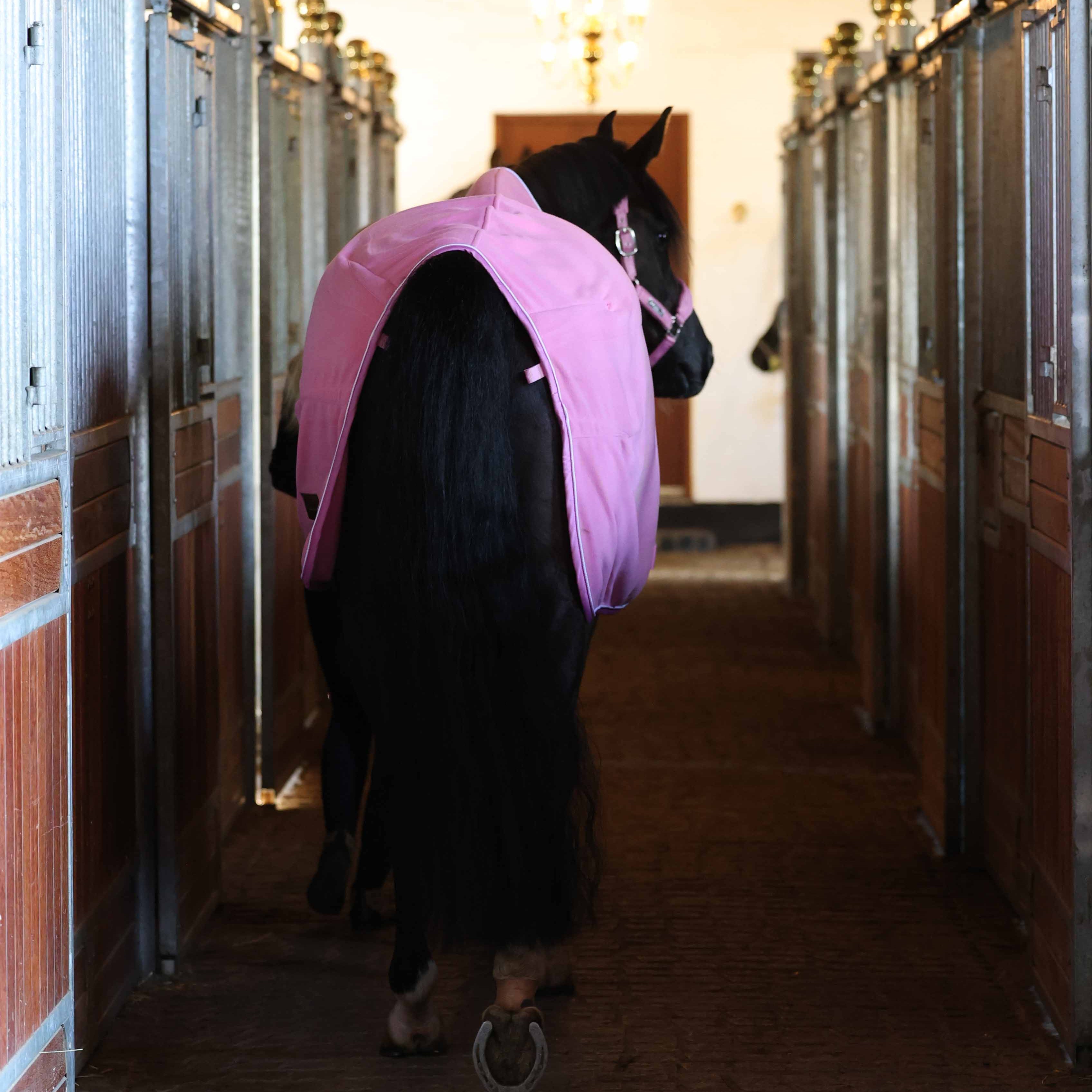 Fleecedækken ses bagfra der viser at dækkenet er faconsyet