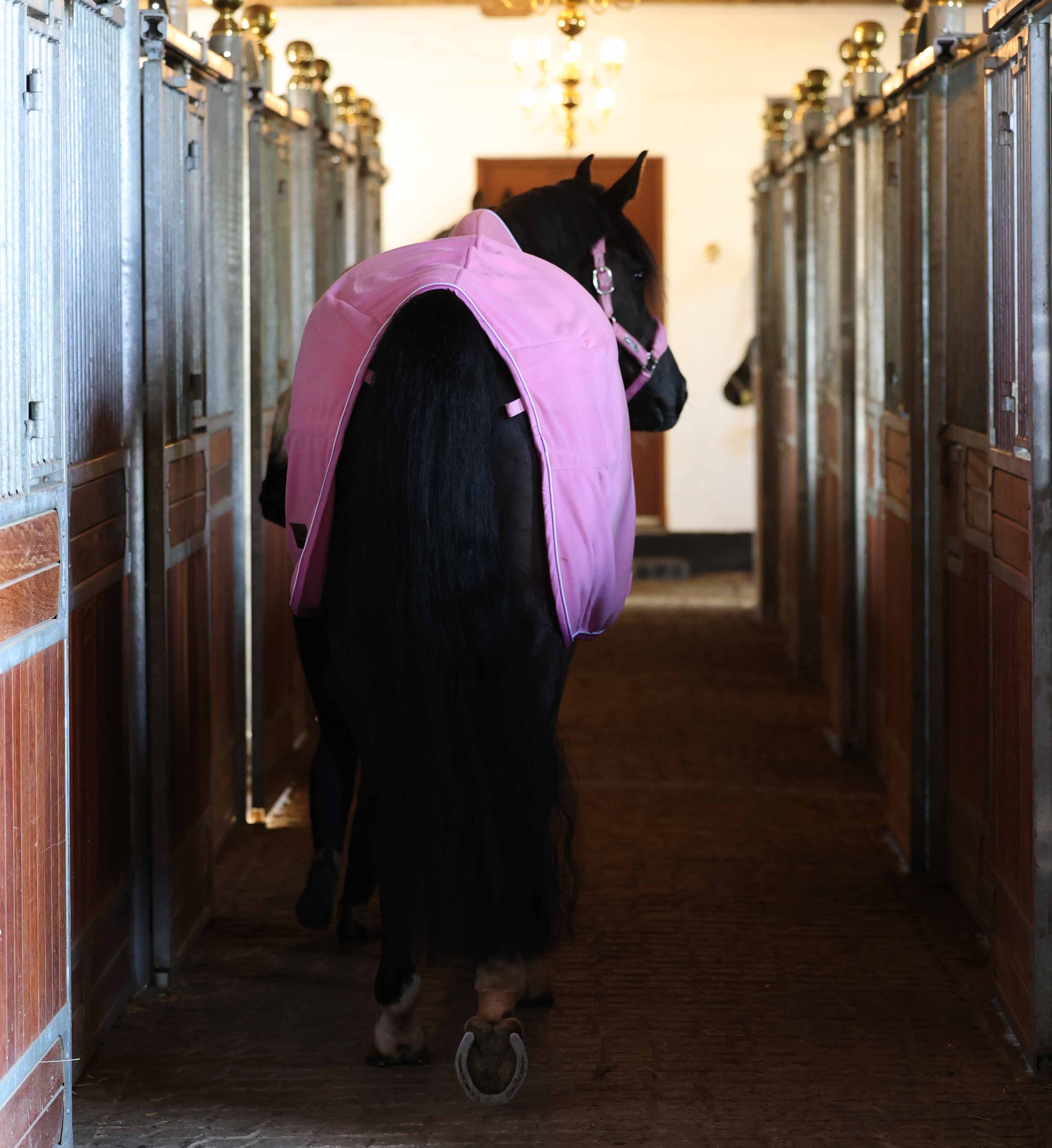 Fleecedækken ses bagfra der viser at dækkenet er faconsyet