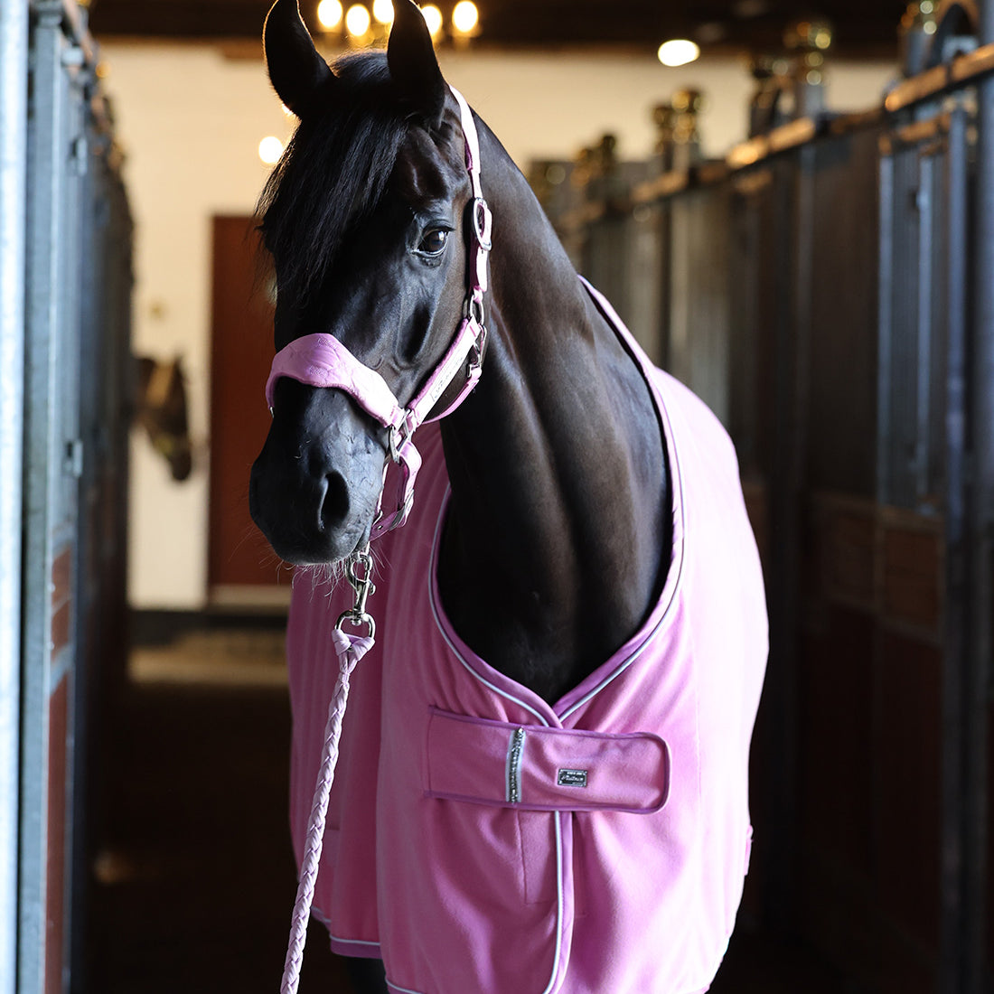 Fleecedækken set forfra hvor krystalsten ses