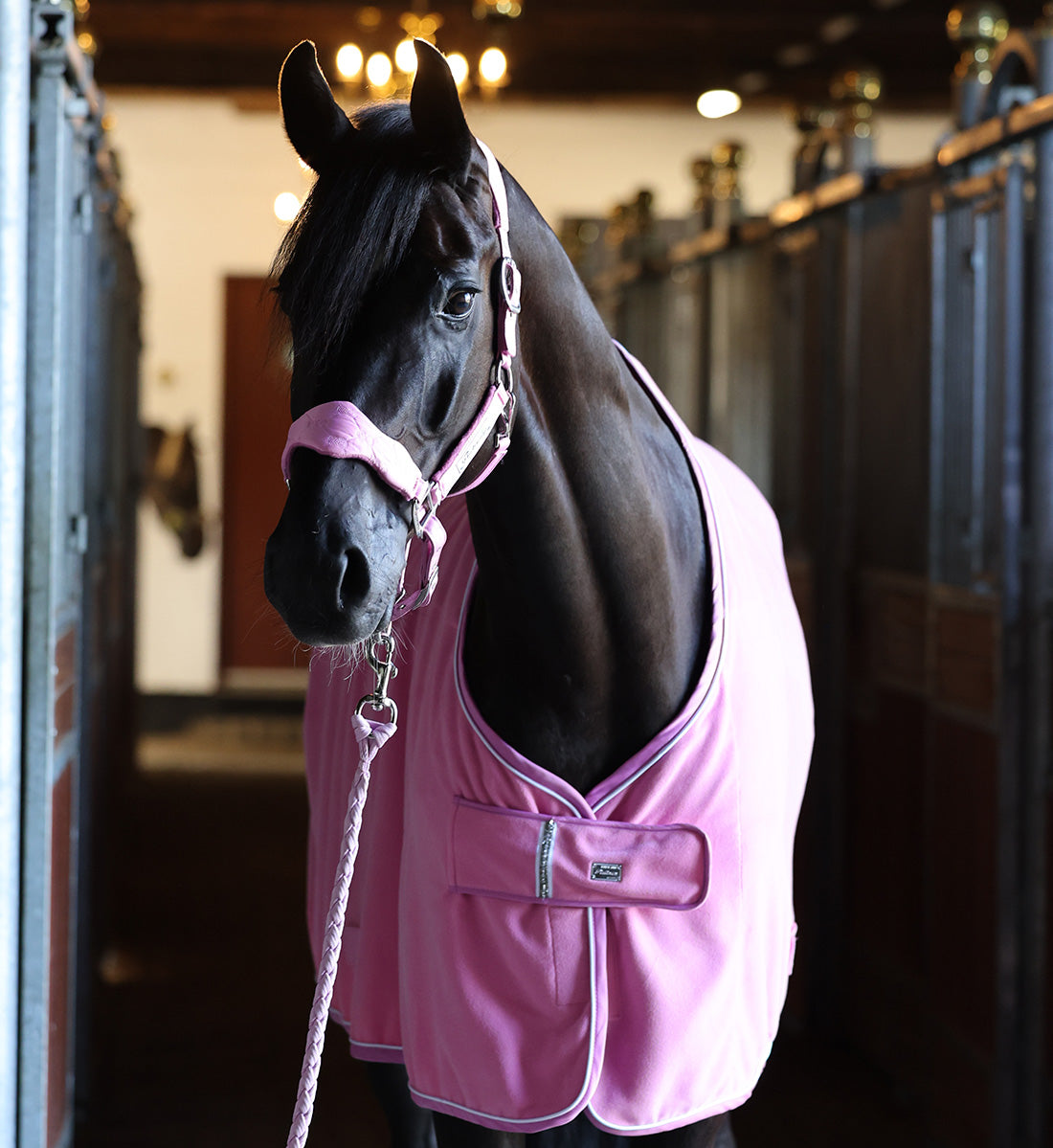 Fleecedækken set forfra hvor krystalsten ses