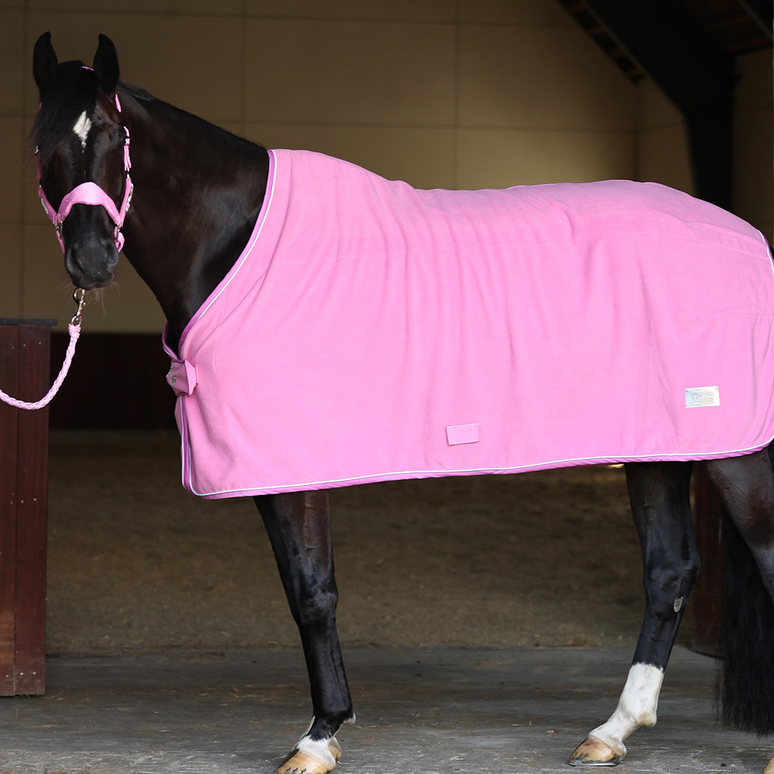 Fleecedækken set på hest fra siden