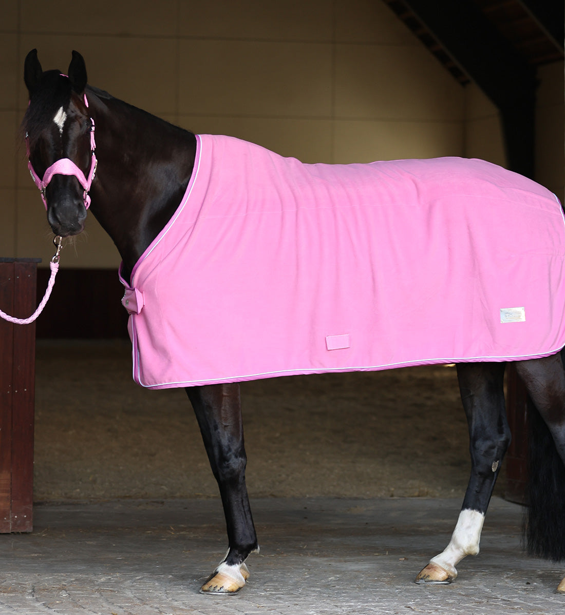 Fleecedækken set på hest fra siden