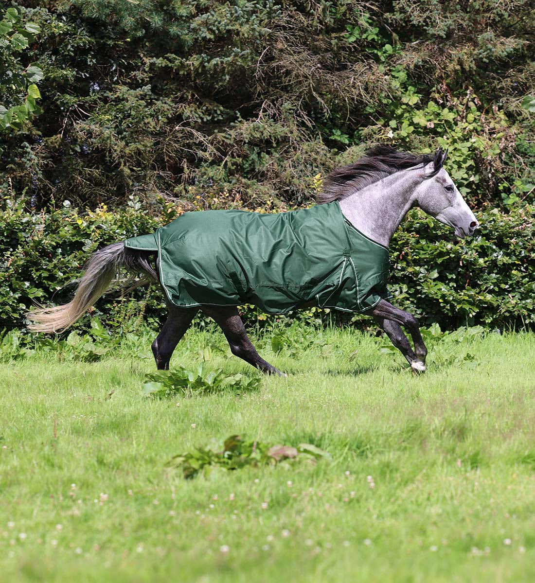 Bæredygtigt hestedækken i Eden Green 100g.