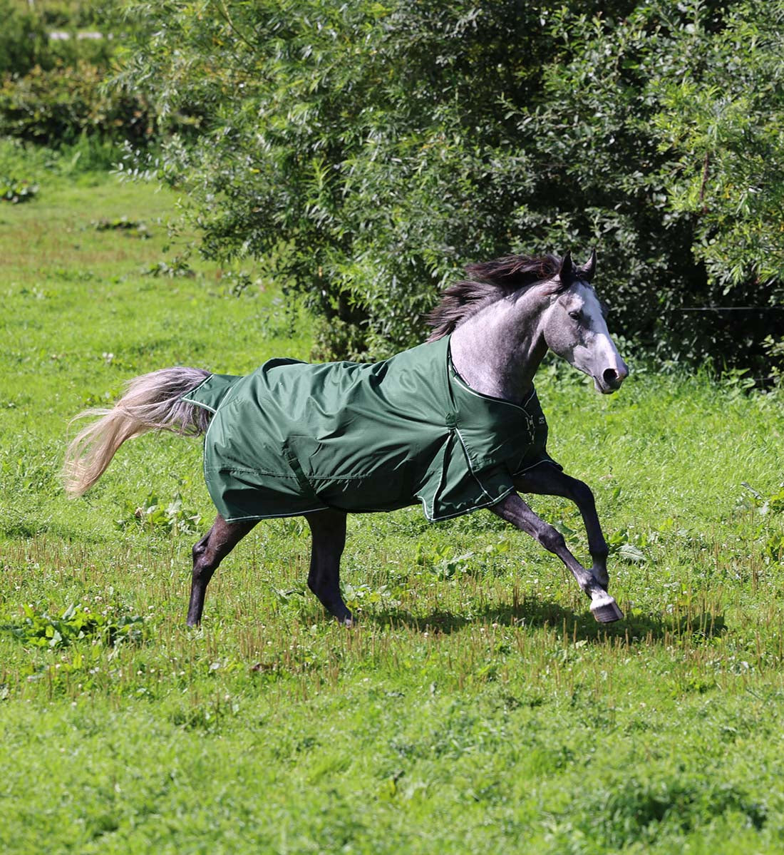 Bæredygtigt hestedækken i Eden Green 100g. Set fra siden.