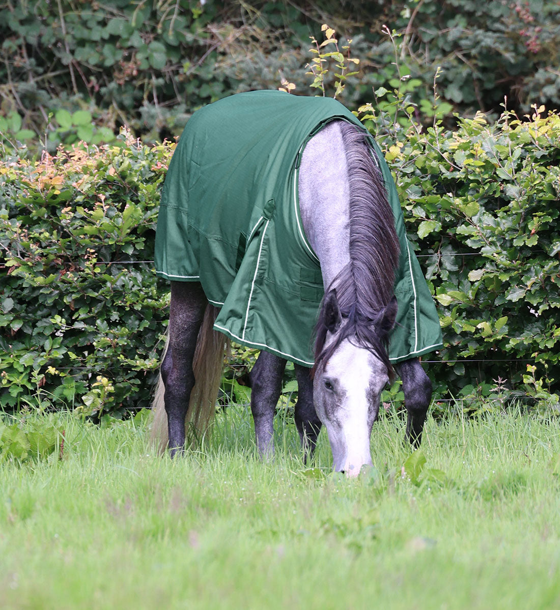 100g regndækken i Eden Green