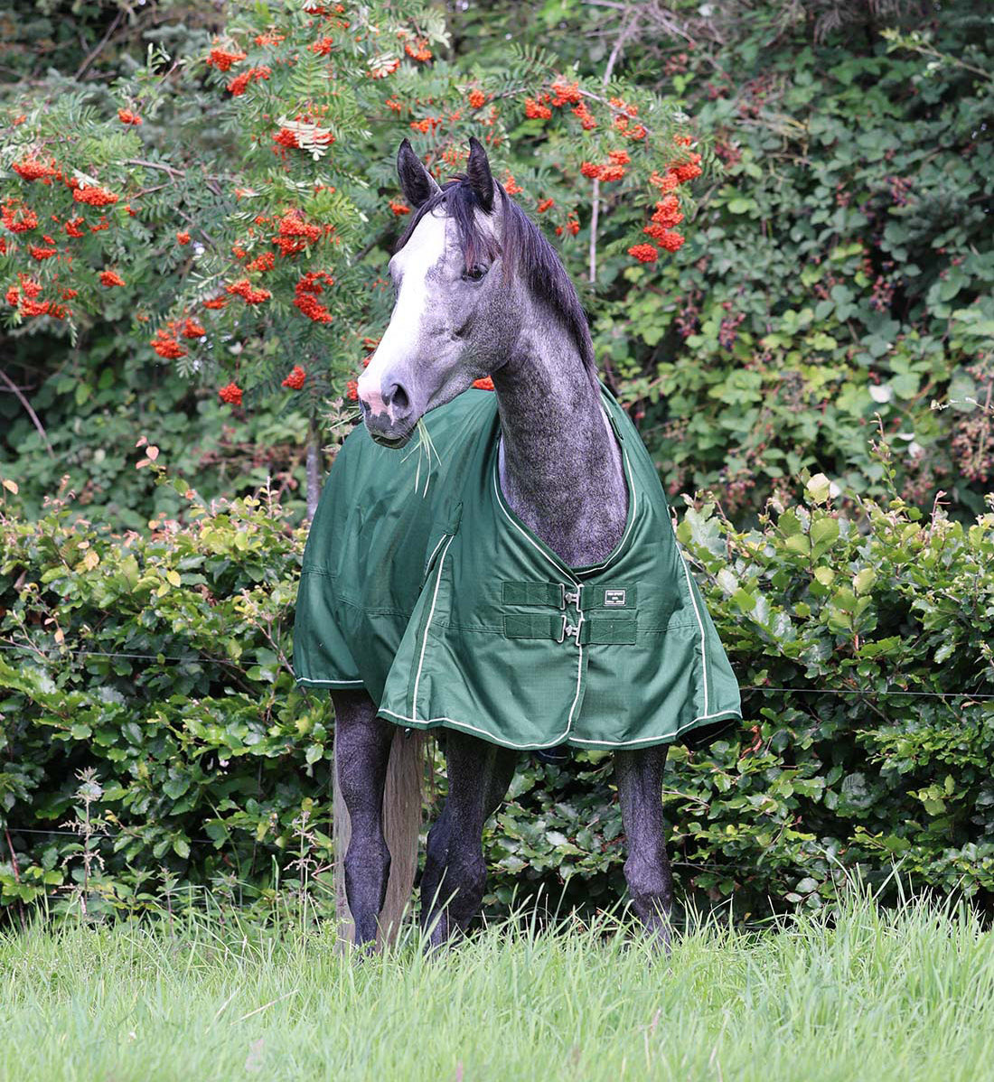 Det nye Eco-friendly dækken, hvor ydermaterialet 600D er fremstillet af genbrugsflasker, regndækken set forfra.