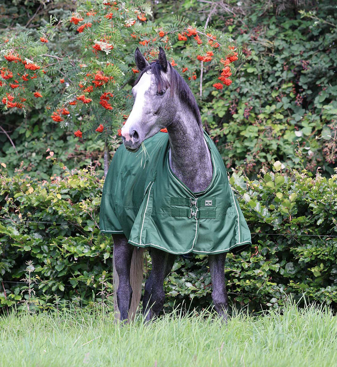 Det nye Eco-friendly dækken, hvor ydermaterialet 600D er fremstillet af genbrugsflasker, regndækken set forfra.