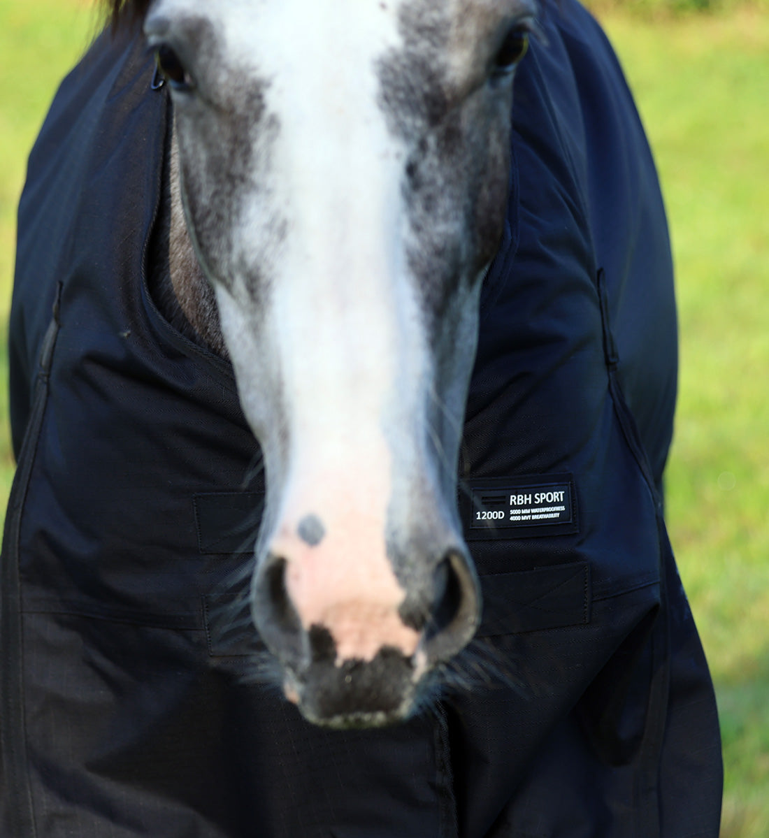 Dækken 1200D set forfra, close up