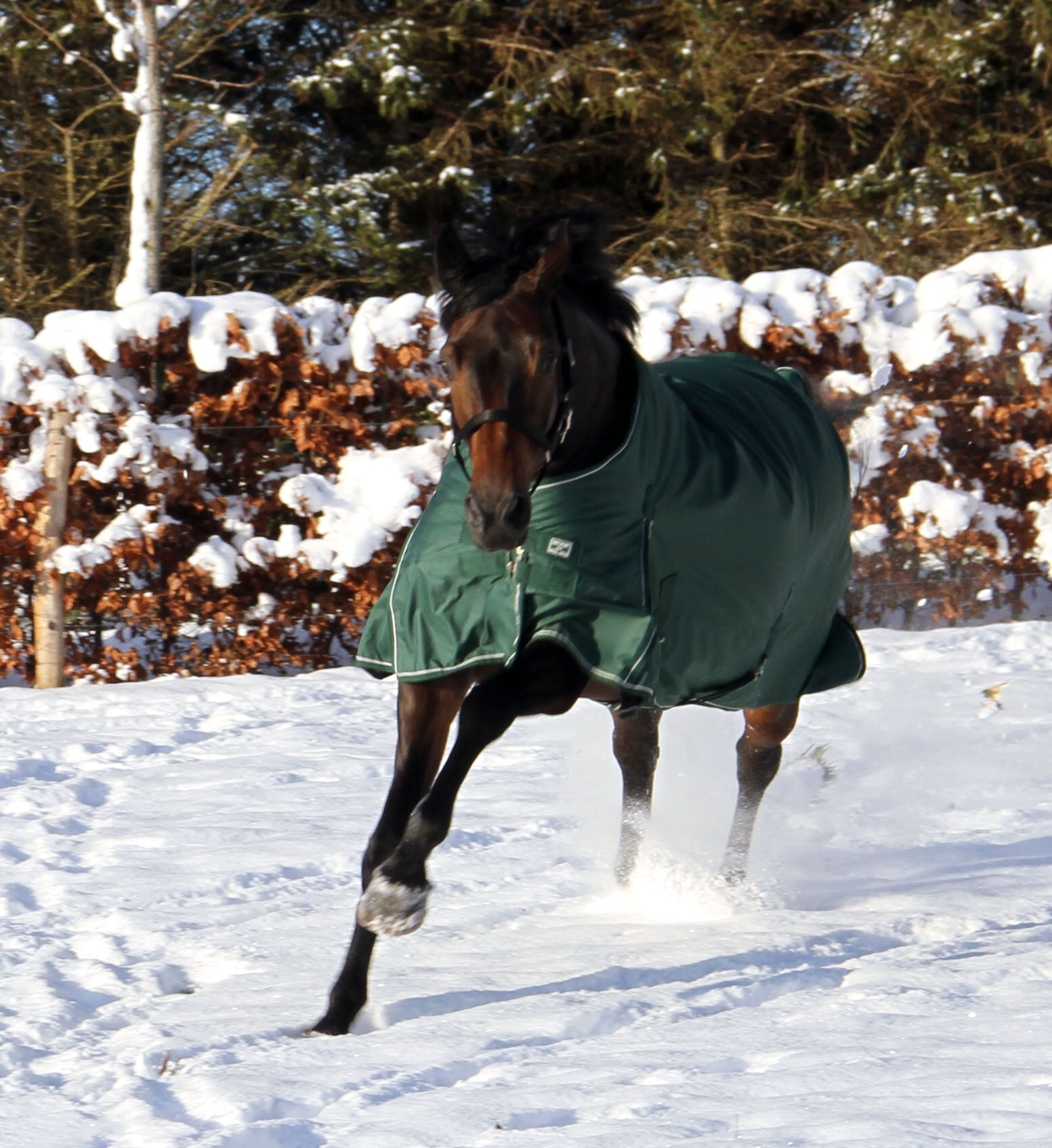Overgangs- og vinterdækken i 200g RBH SPORT i farven eden green