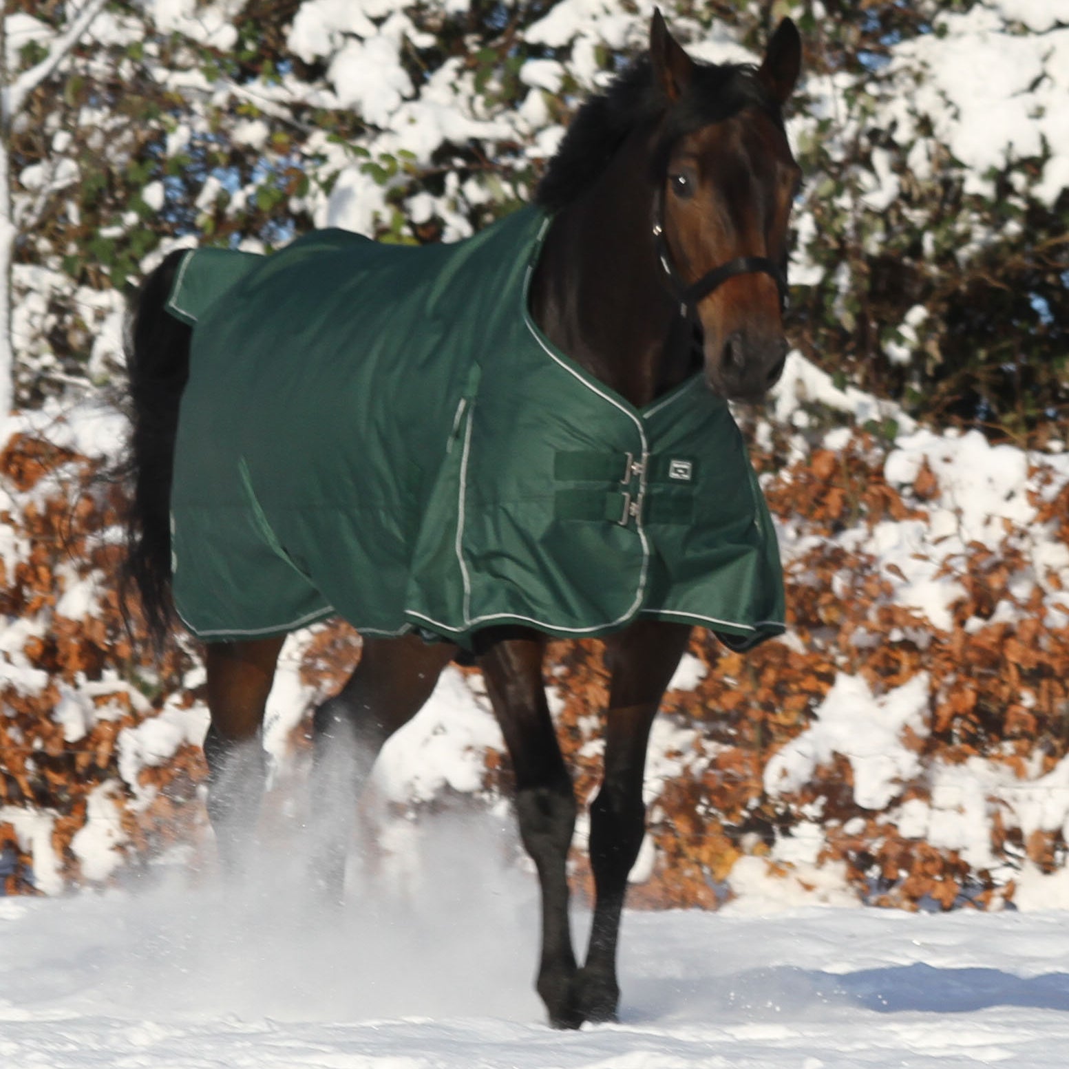 Vinterdækken 350g - eden green - eco venligt fremstillet.