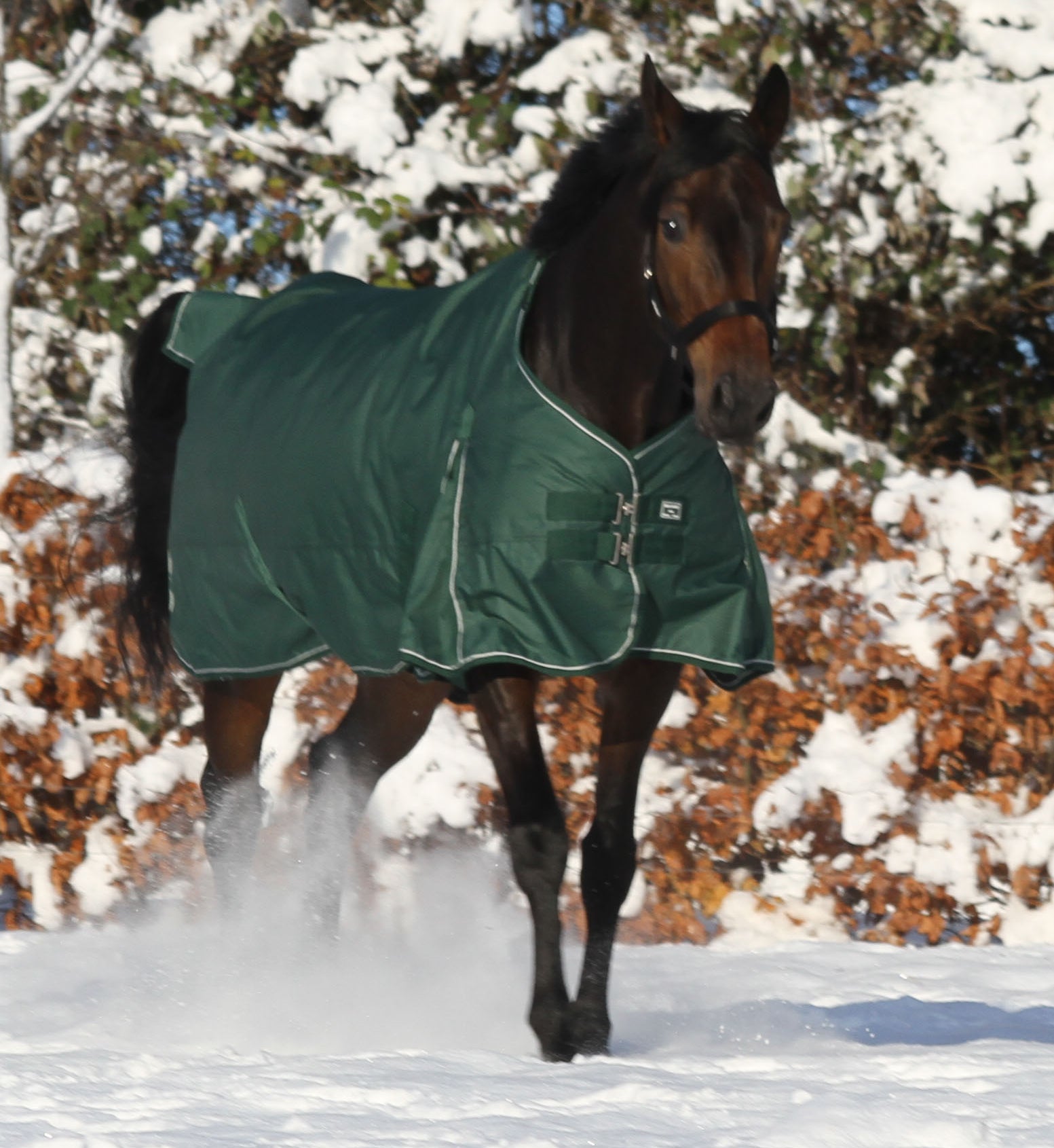 Vinterdækken 350g - eden green - eco venligt fremstillet.