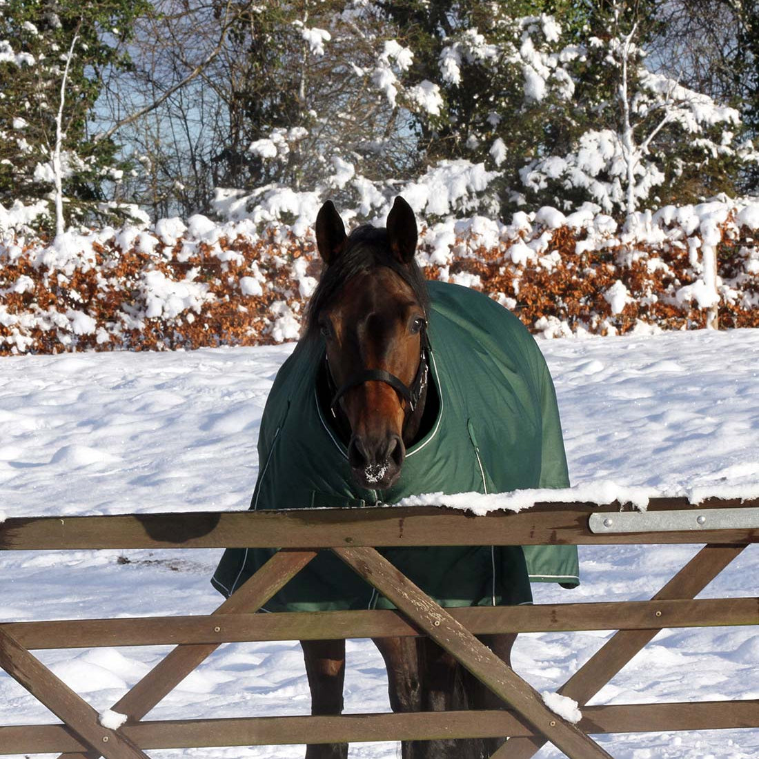 Vinterdækken 350g - eden green - set forfra