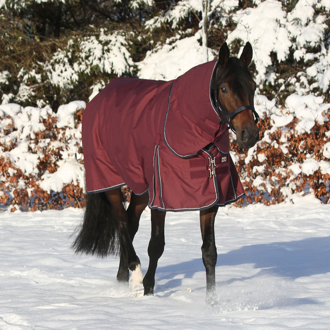 Vinterdækken i 350g vist med hals