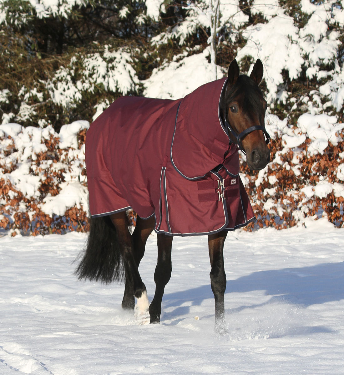 Vinterdækken i 350g vist med hals