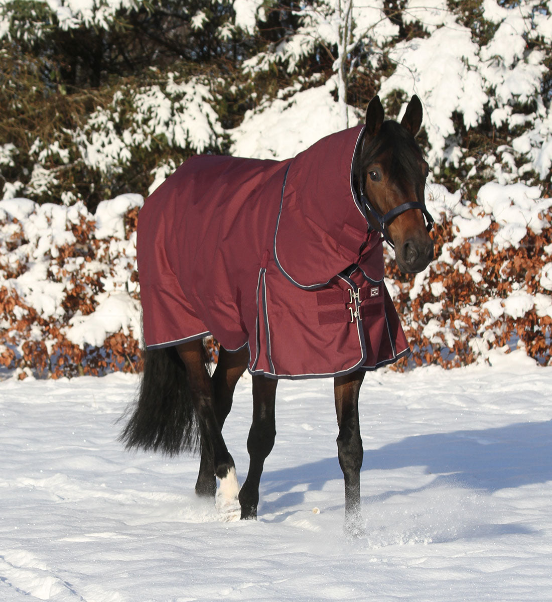 Vinterdækken i 350g vist med hals