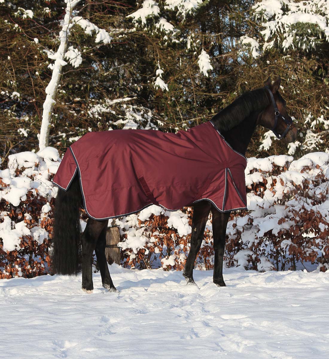 Vinterdækken i 350g i bordeaux
