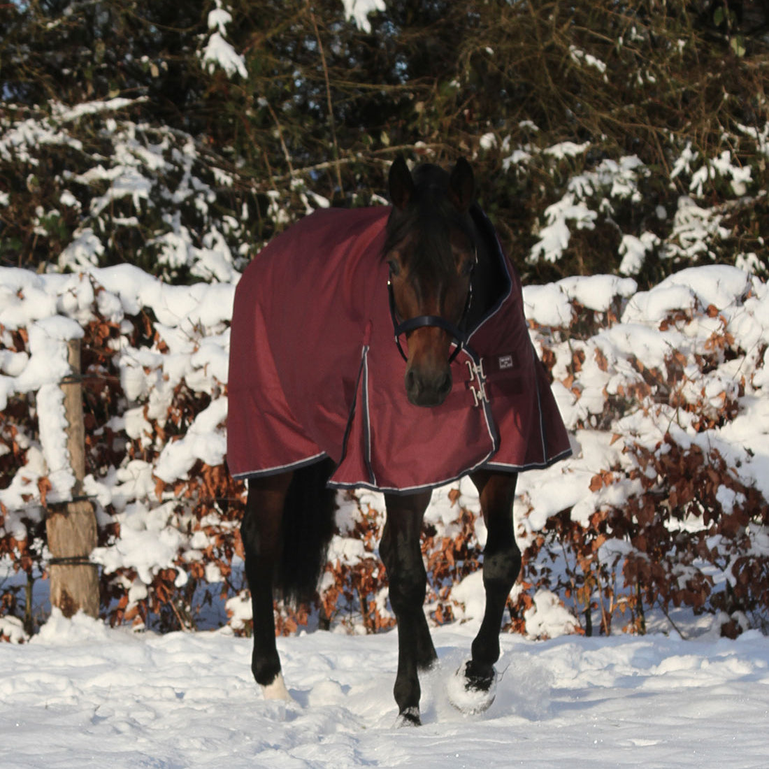 Vinterdækken i farven bordeaux