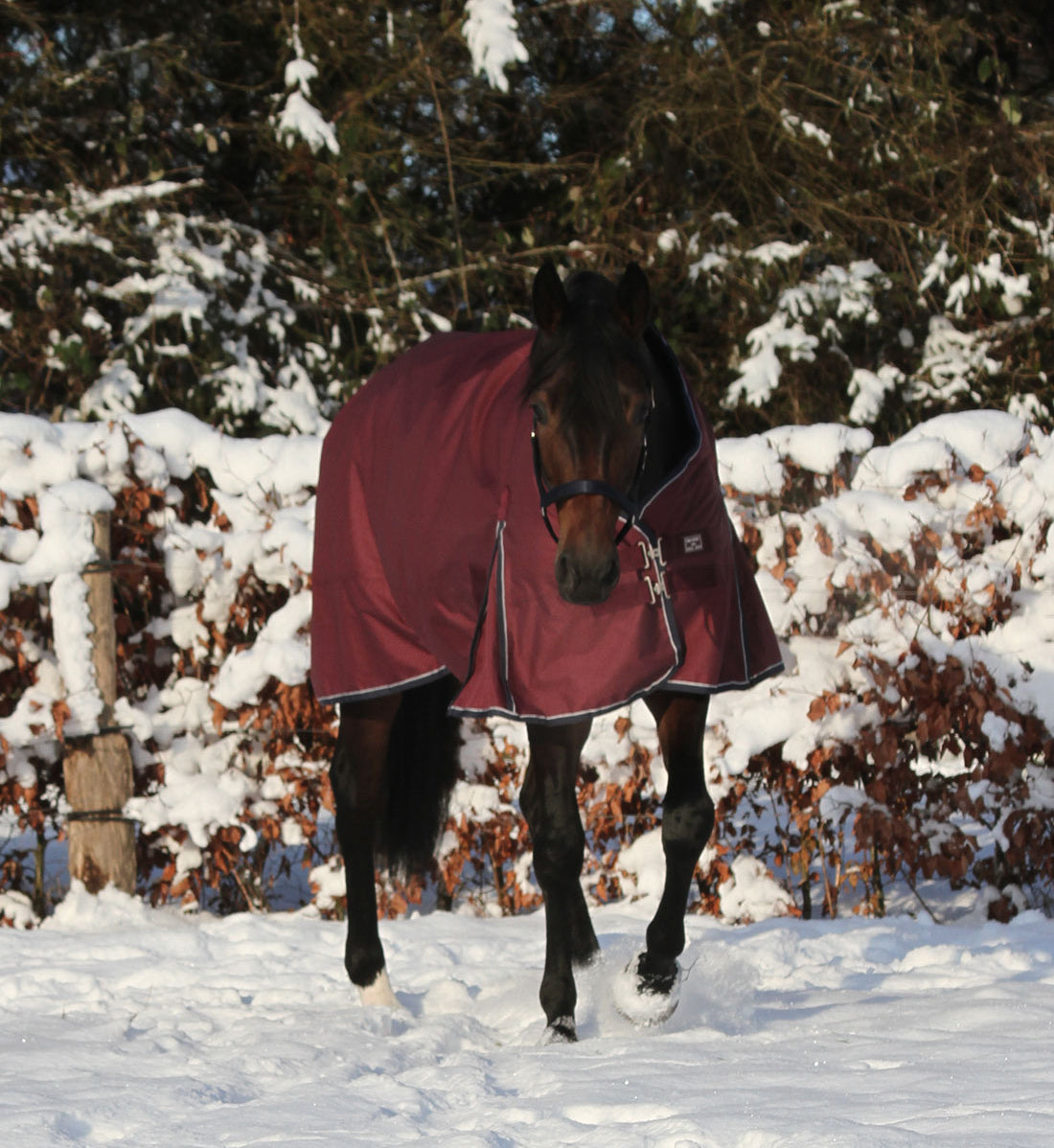 Vinterdækken i farven bordeaux