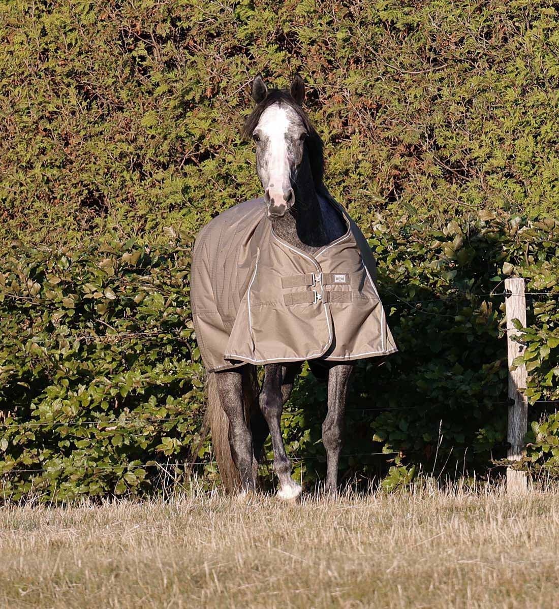 Vinterdækken 350g RBH SPORT walnut