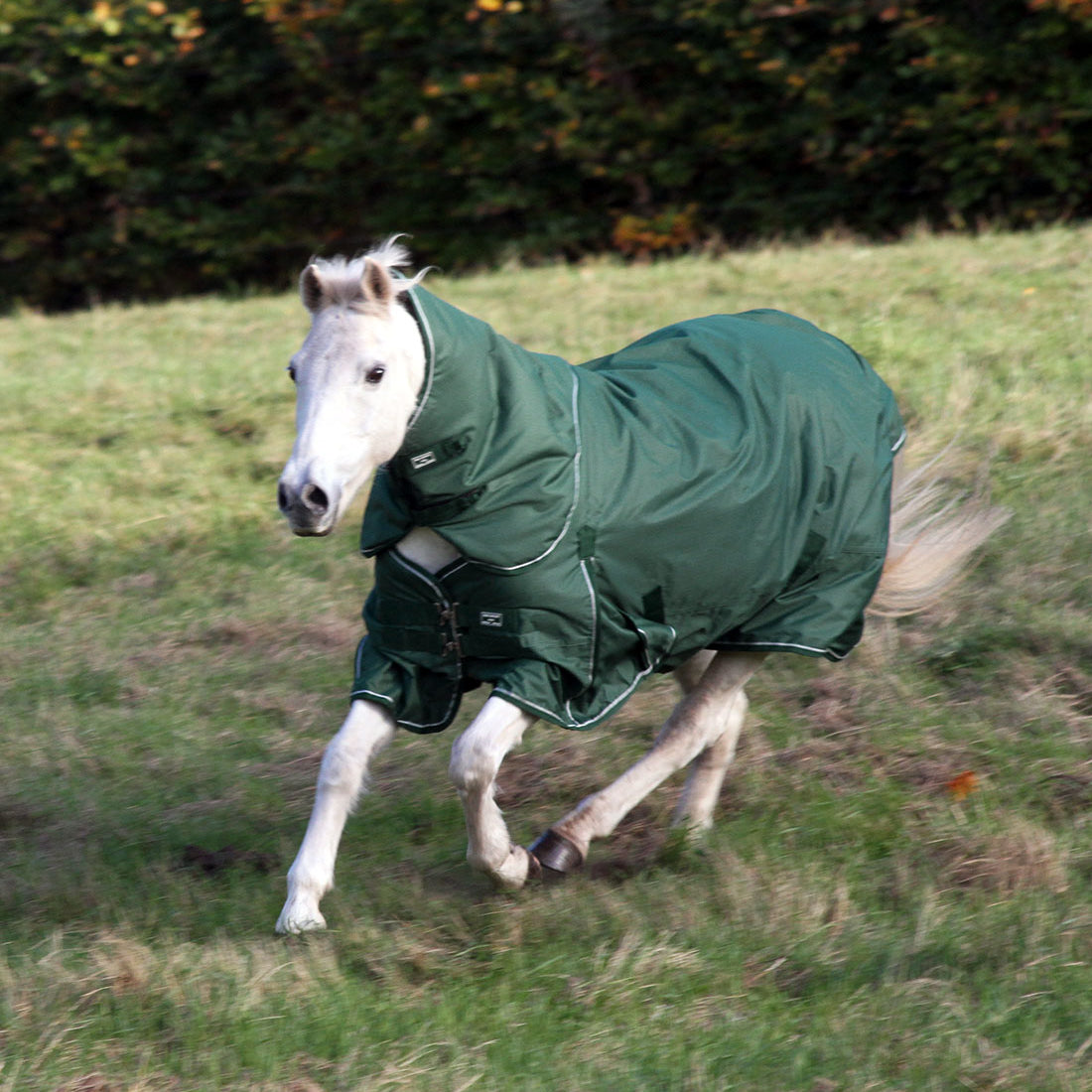 Eden Green hestedækken hals i 150g, en eco-venlig hals fremstillet af genanvendte plastik flasker.