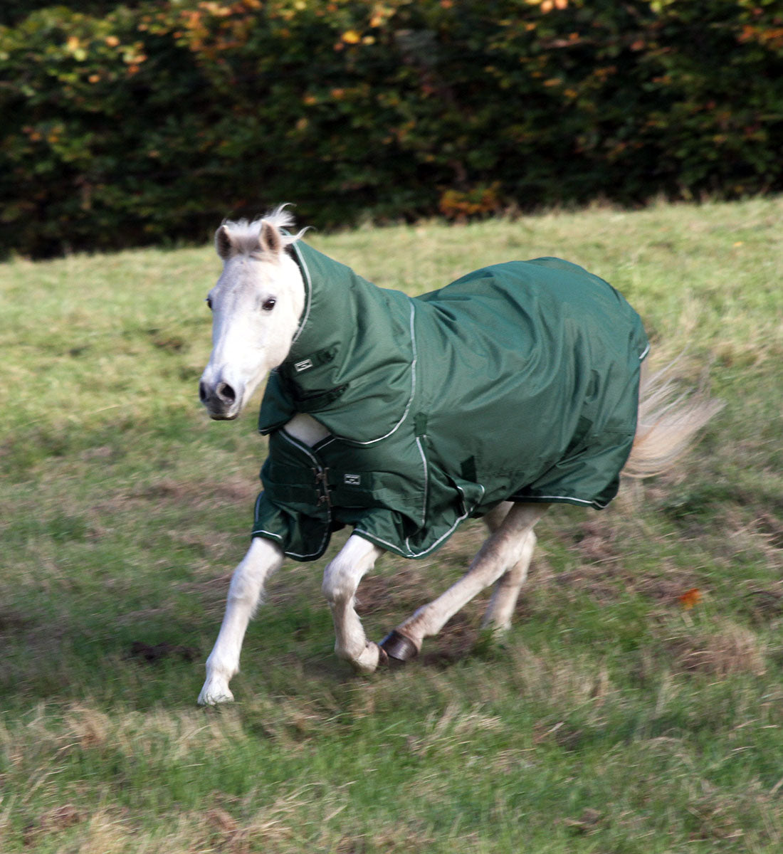 Eden Green hestedækken hals i 150g, en eco-venlig hals fremstillet af genanvendte plastik flasker.