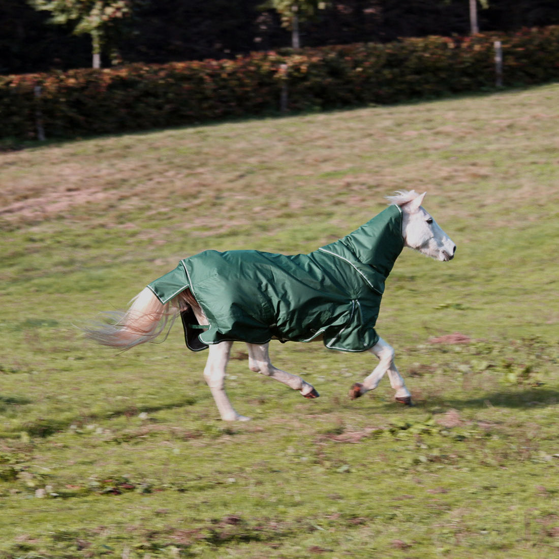 Eden Green hestedækken hals i 150g, en eco-venlig hals fremstillet af genanvendte plastik flasker. Set fra siden.