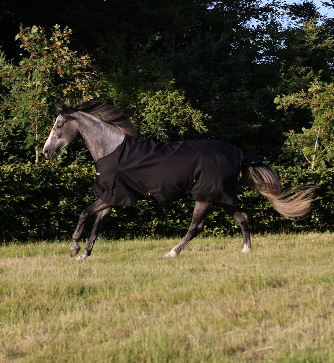 Regndækken RBH SPORT 1200D i sort