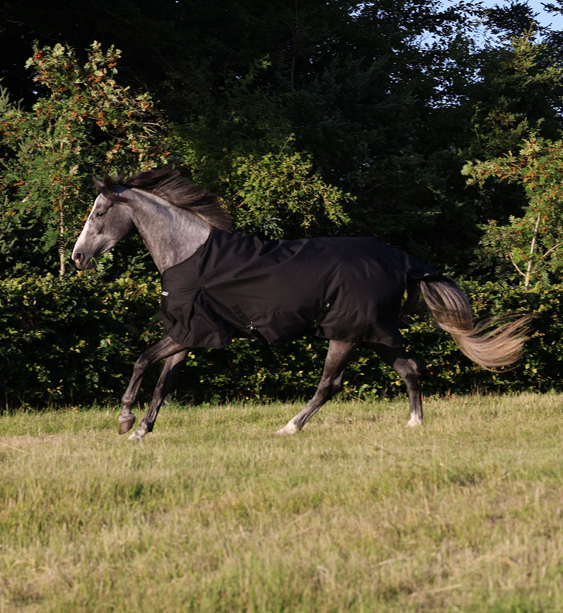 Regndækken RBH SPORT 1200D i sort