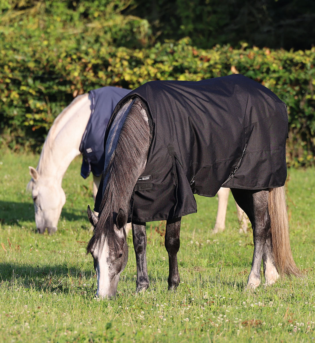 RBH SPORT 1200D regndækken i farven sort.
