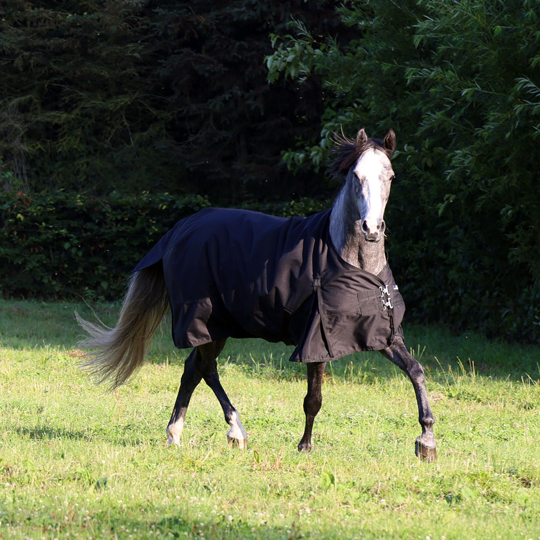 1200D stærkt regndækken i sort