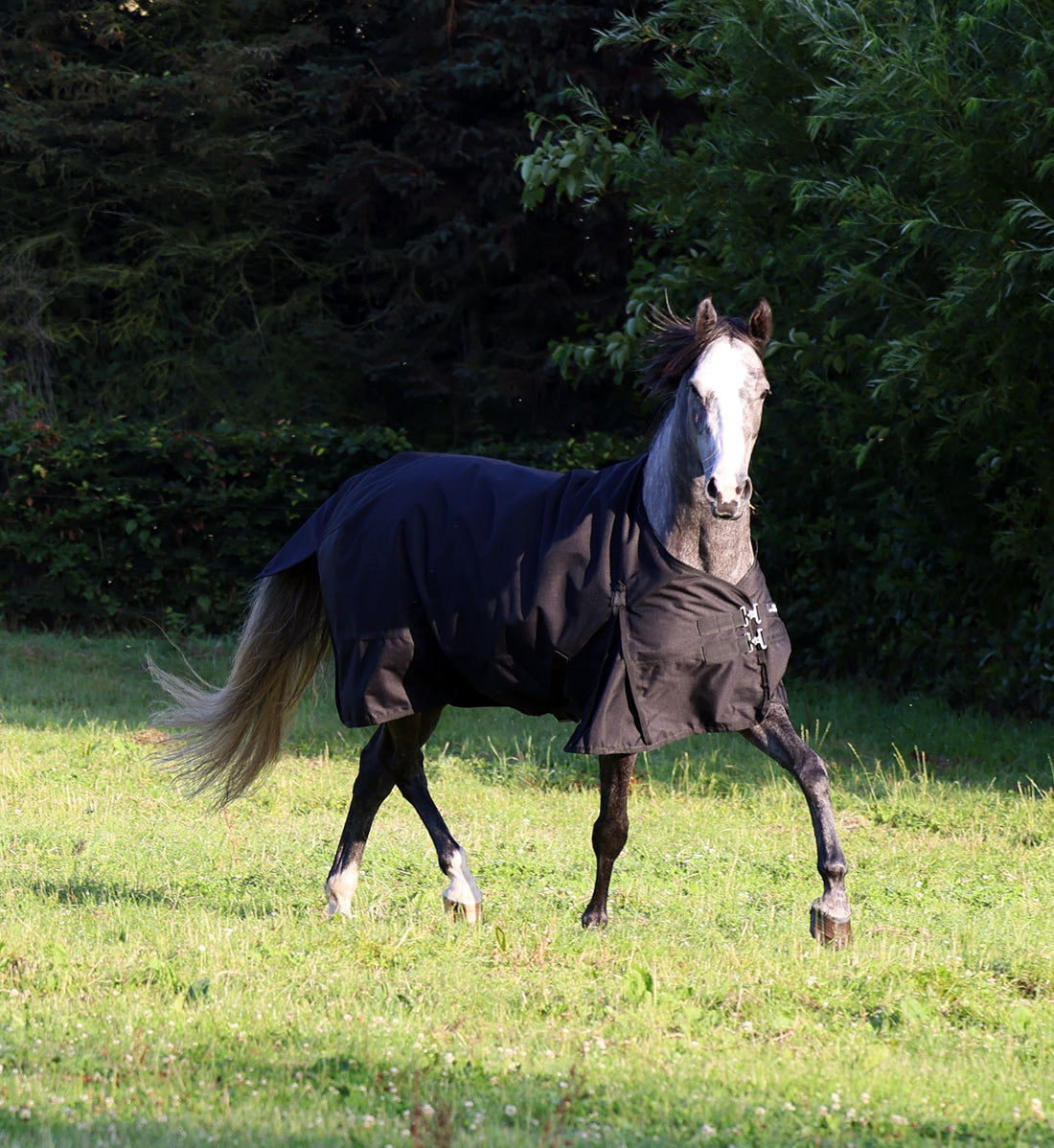 1200D stærkt regndækken i sort