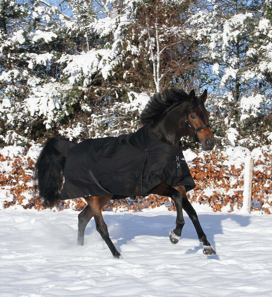 Stærkt 1200D hestedækken i 250g i sort