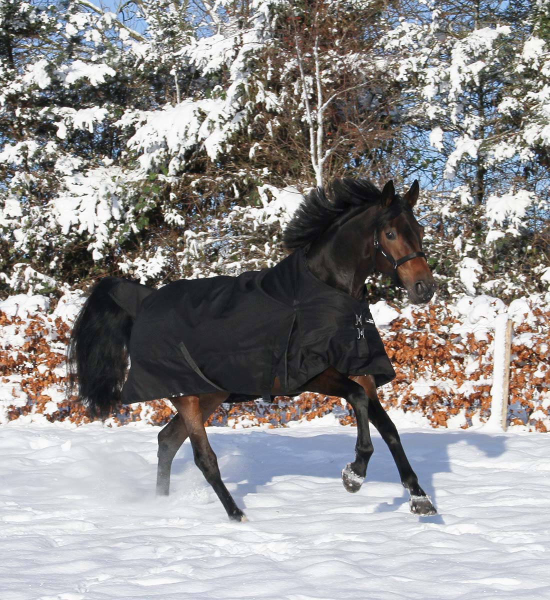 Stærkt 1200D hestedækken i 250g i sort