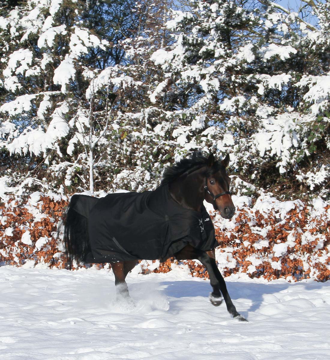Stærkt 1200D hestedækken i 250g i sort