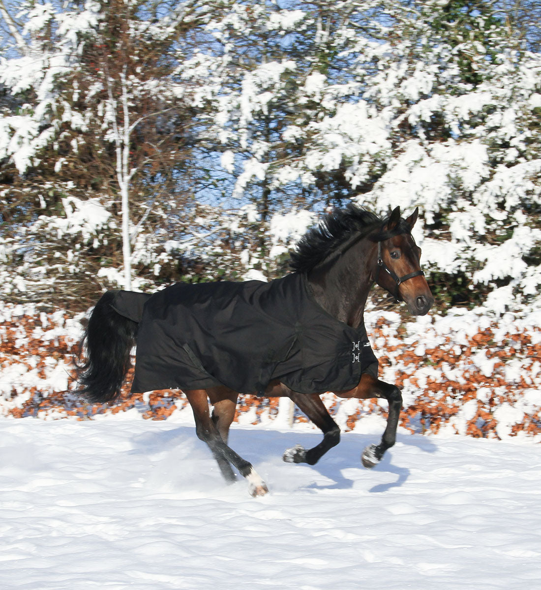 Stærkt 1200D hestedækken i 250g i sort i RBH SPORT