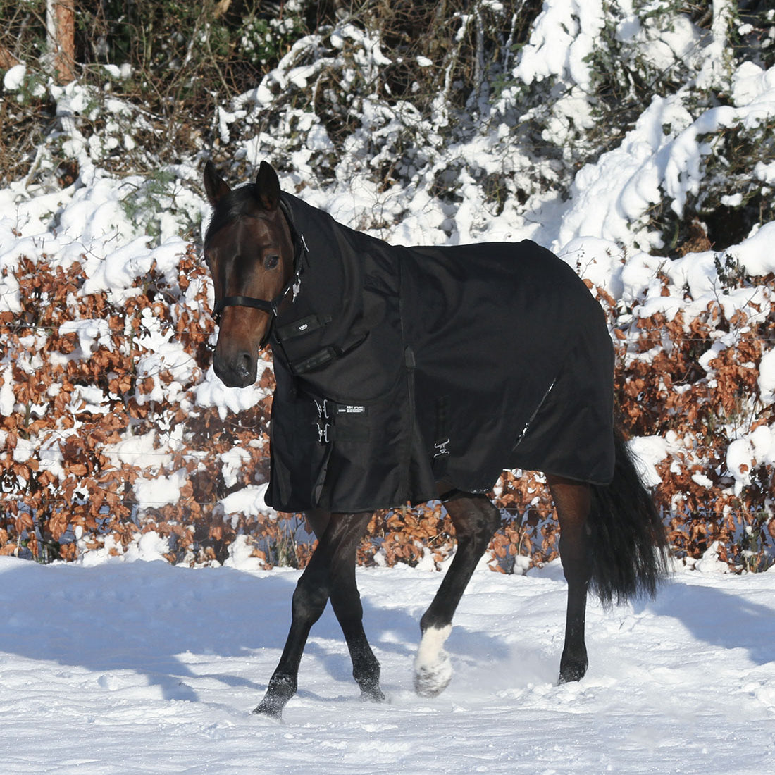 400g vinterdækken i RBH SPORT 1200D i sort, vist med hals.