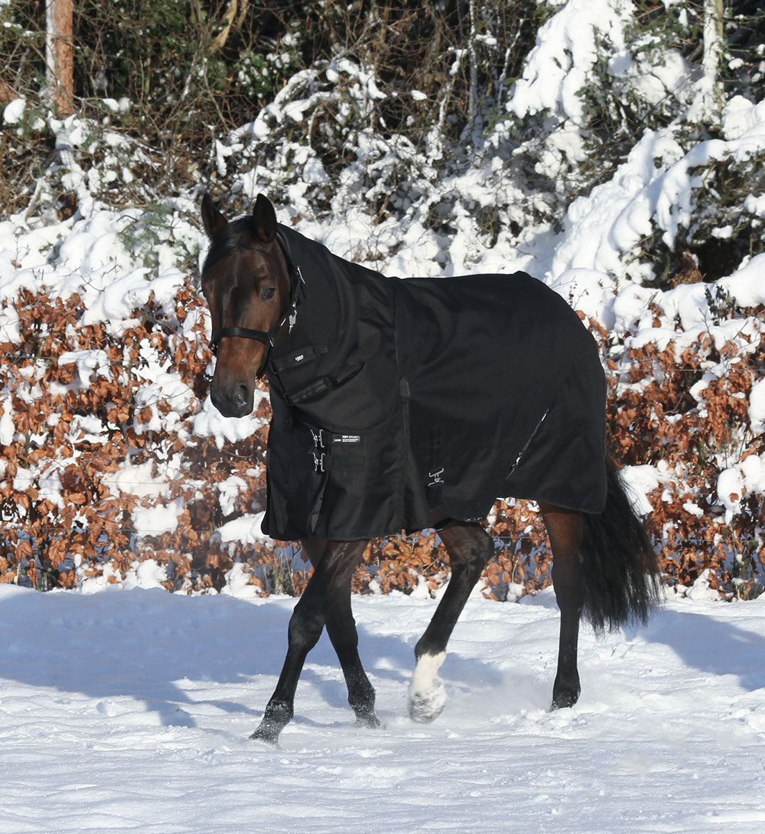 400g vinterdækken i RBH SPORT 1200D i sort, vist med hals.