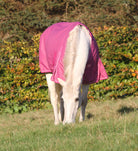 Vinterdækken i 350g i farven magenta haze, dækkenet er med rose gold spænder.