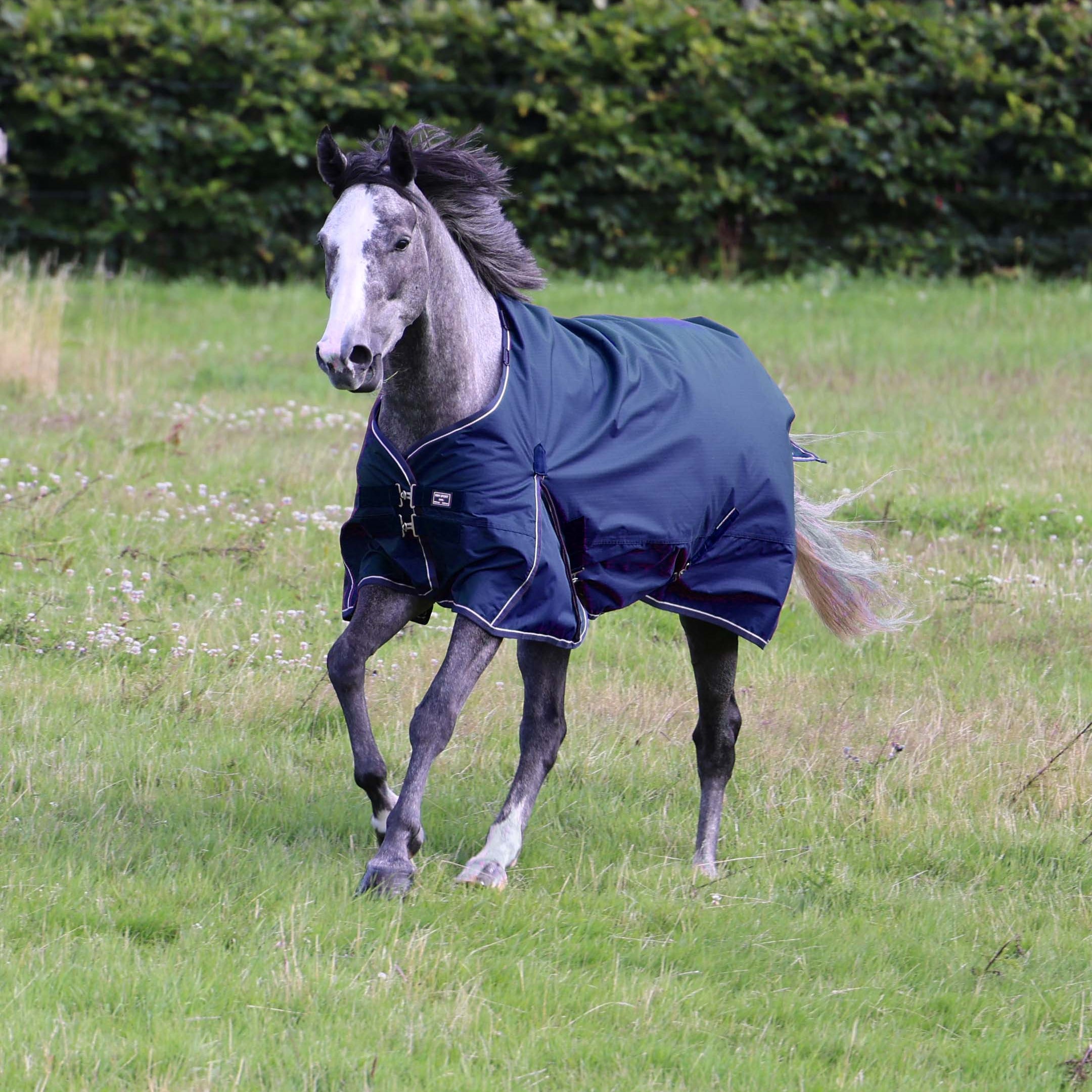 Vinterdækken i 350g i farven navy set forfra.
