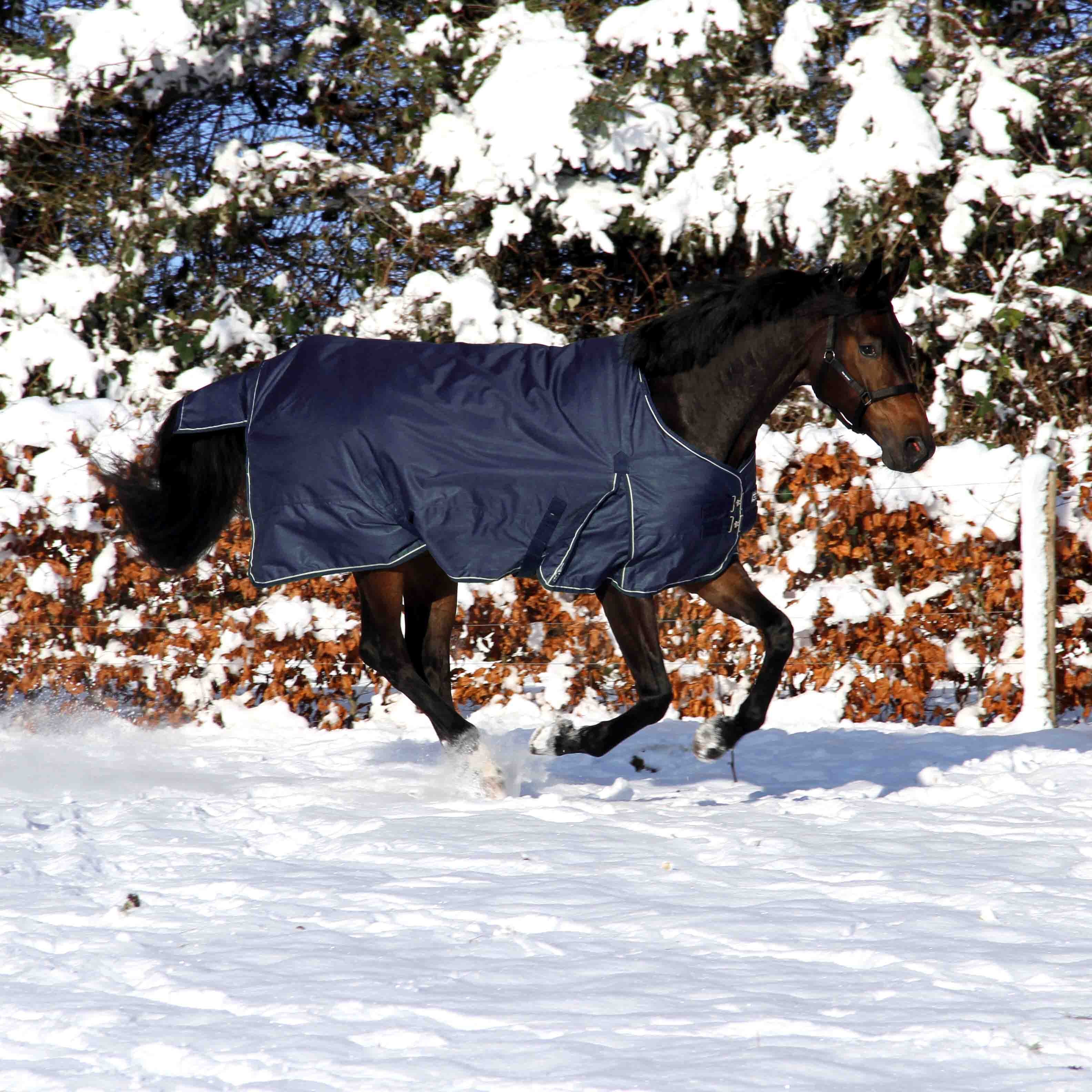 Vinterdækken i 350g i farven navy