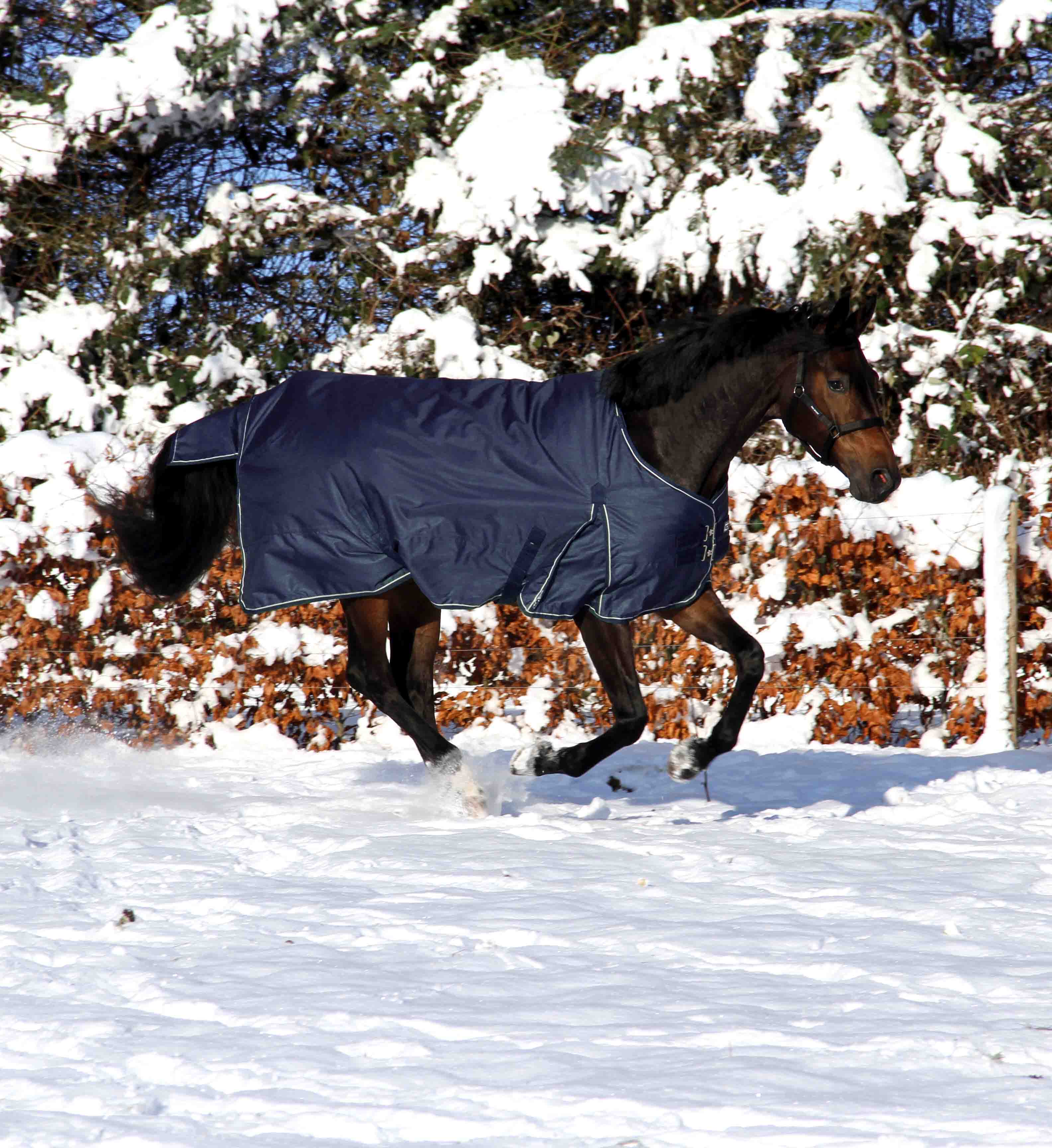 Vinterdækken i 350g i farven navy